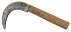 Sichel