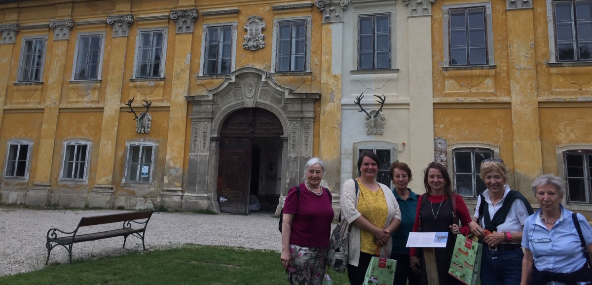 : Farbproben für die Renovierung des Schloss Marchegg zur Niederösterreichischen Landesausstellung 2022