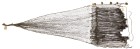 Fischnetz &quot;Menaide&quot;