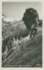 Ansichtskarte &quot;Bergheuer&quot; aus der Serie &quot;Der Kampf um die Scholle&quot;