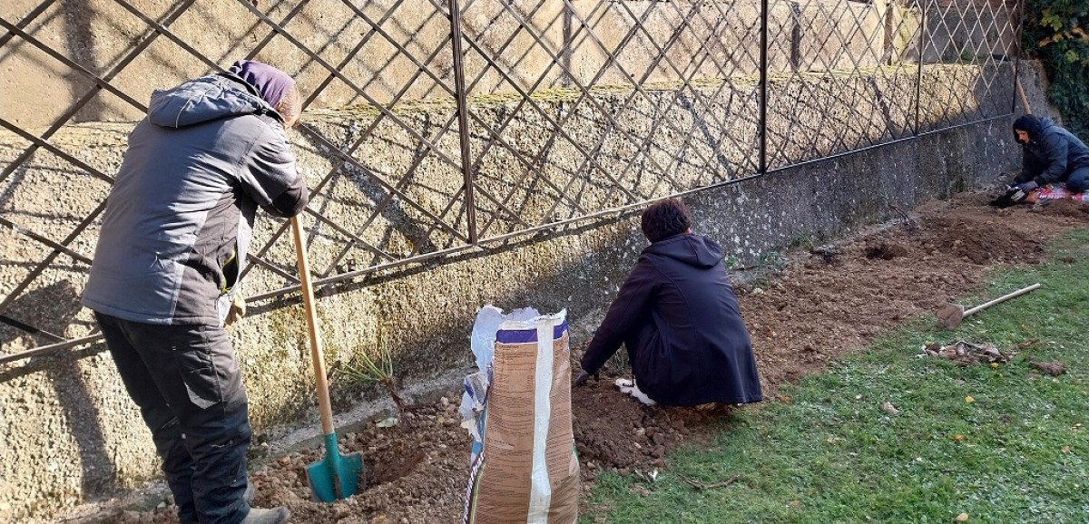 : Die Renovierungsarbeiten im Schloss in Dolná Krupá werden demnächst beendet. Deswegen wird  jetzt  im Spätherbst auch der Schlossgarten verschönert und neue Hängerosen gepflanzt, die im Frühling 2025 erblühen sollen. 