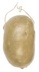Votiv